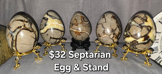 Septarian Egg & Stand