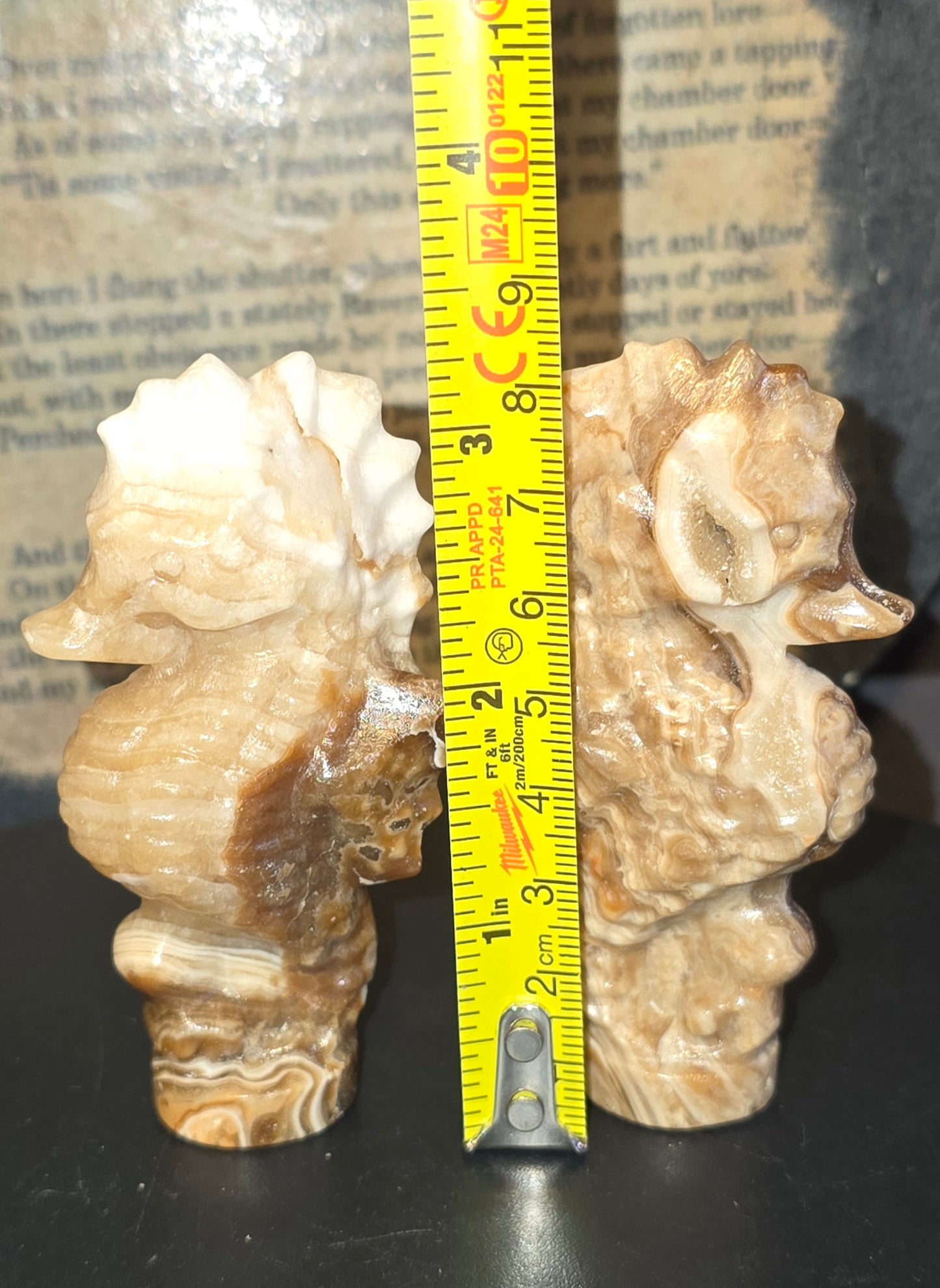 S0217 Chocolate Calcite Seahorse