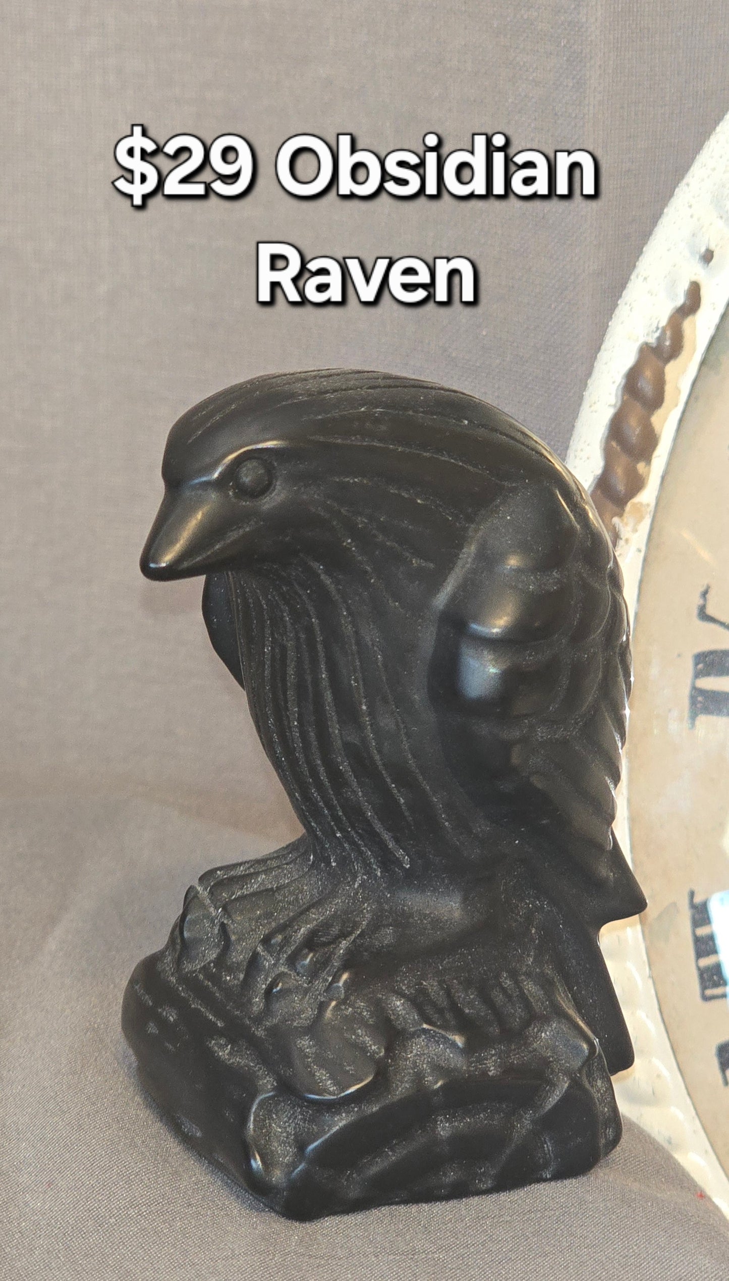 Obsidian Raven