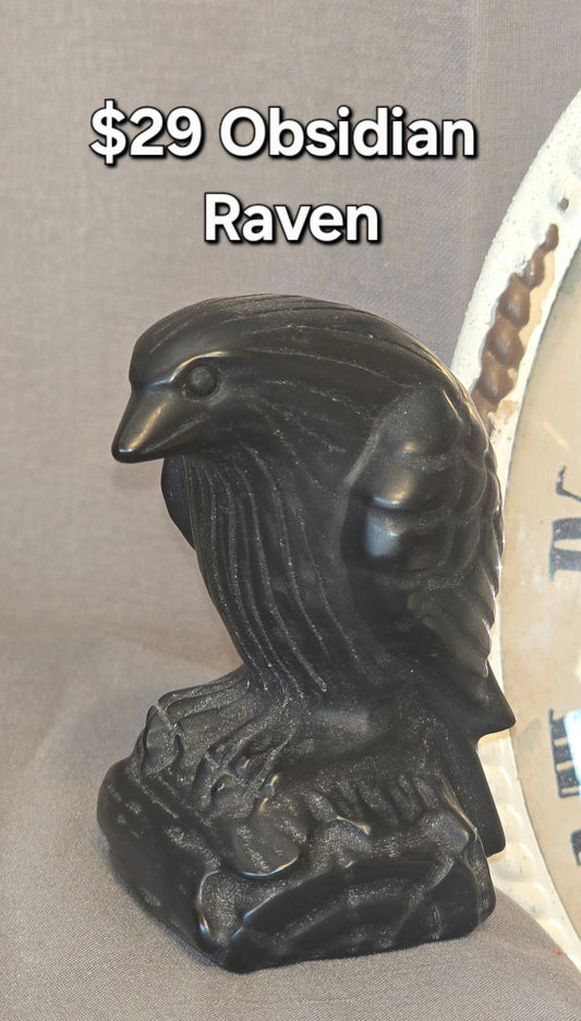 Obsidian Raven