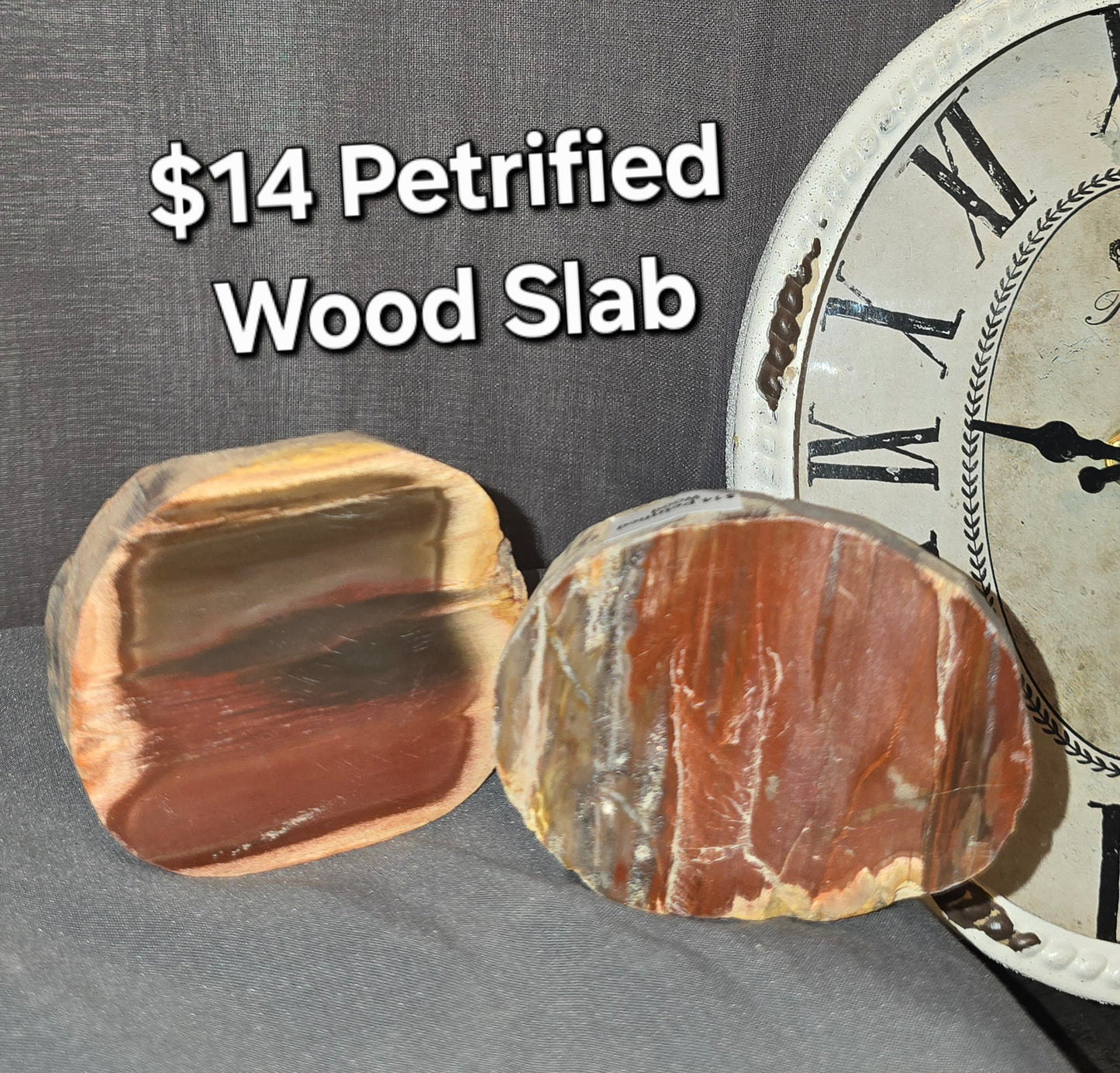 Petrified Wood Slab