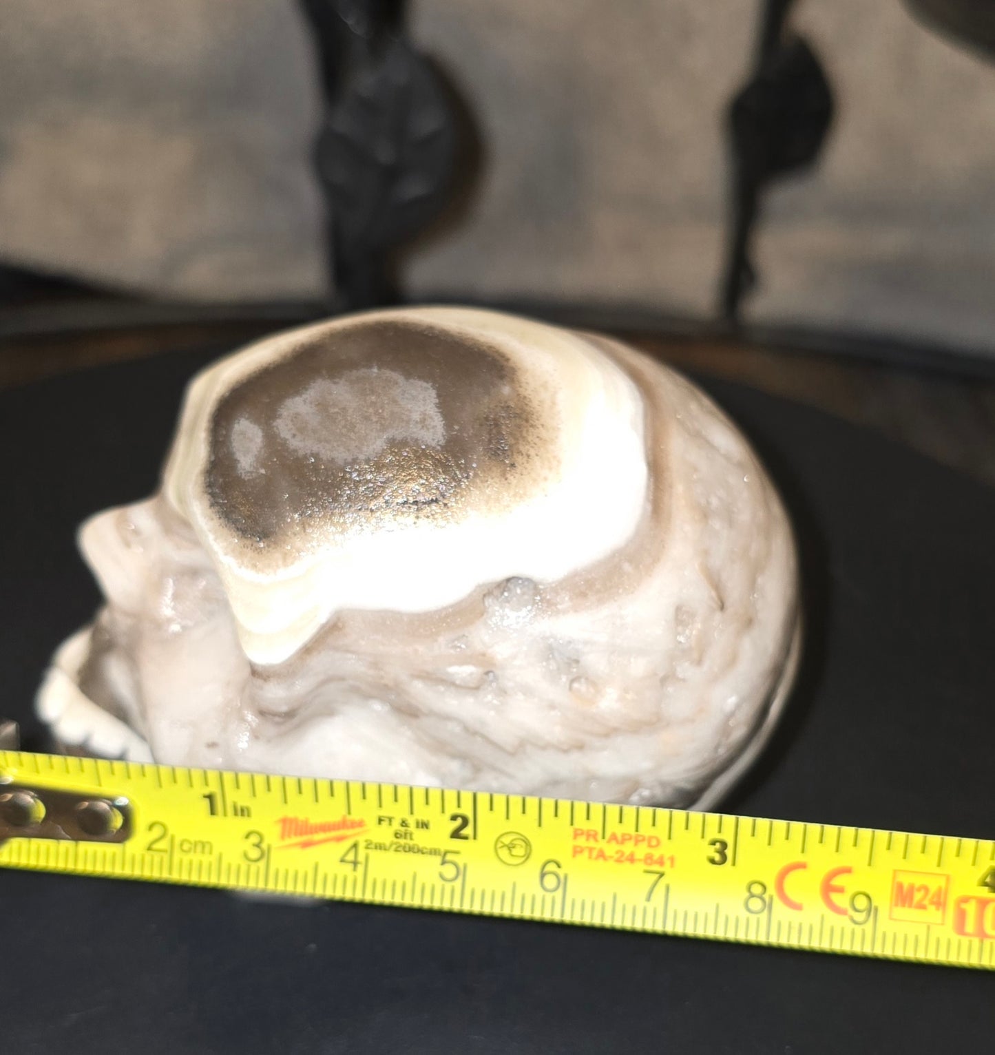 S0050 Zebra Calcite Skull