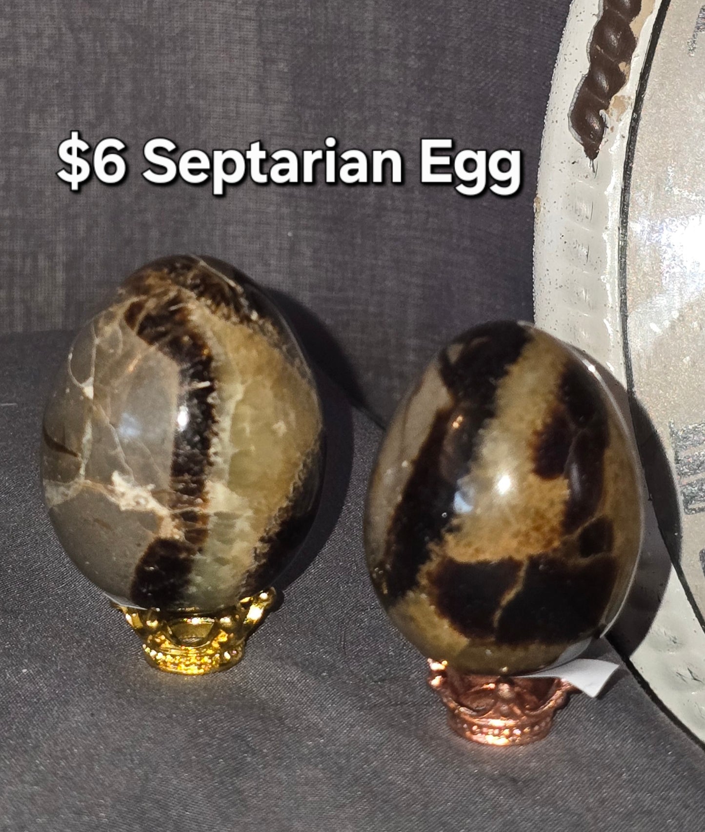 Septarian Egg