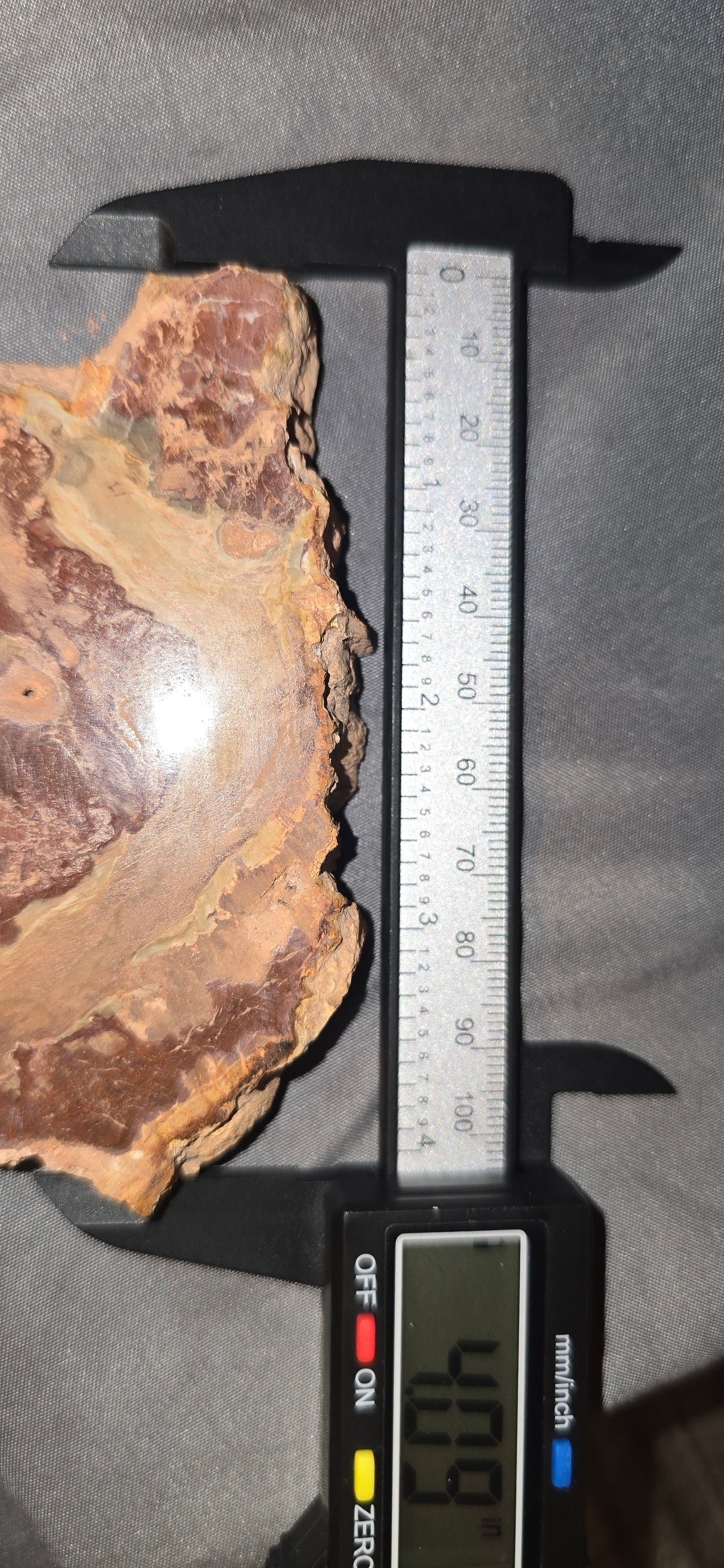 Petrified Wood Slab