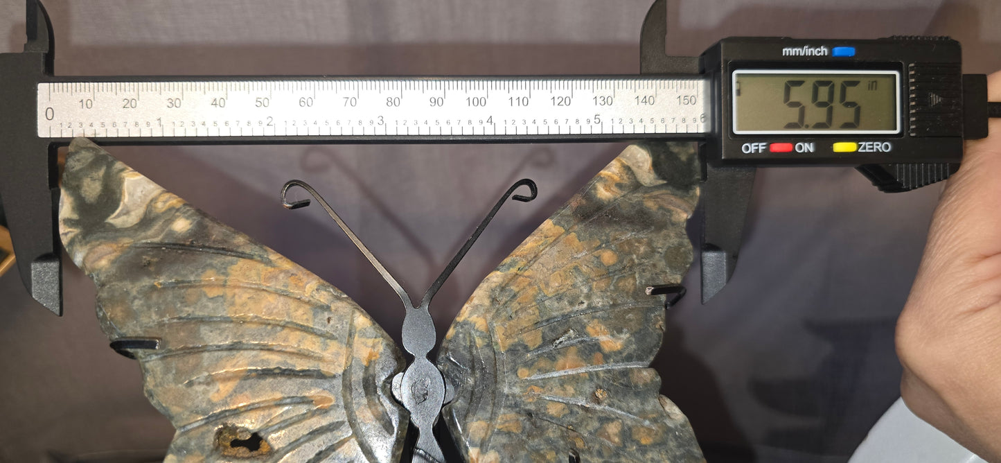 Ocean Jasper Butterfly