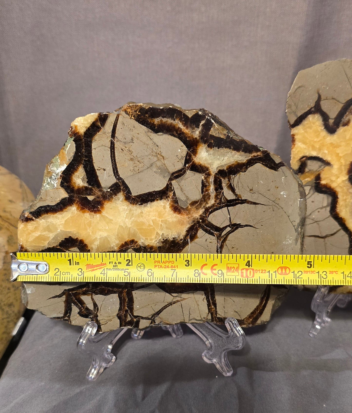 S0374 Septarian Slab