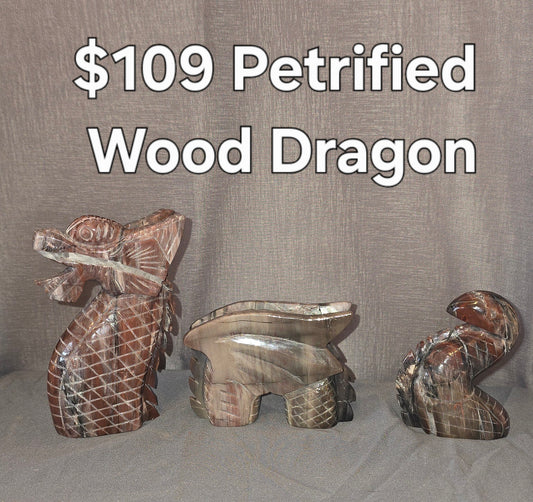 S0236 Petrified Wood Dragon
