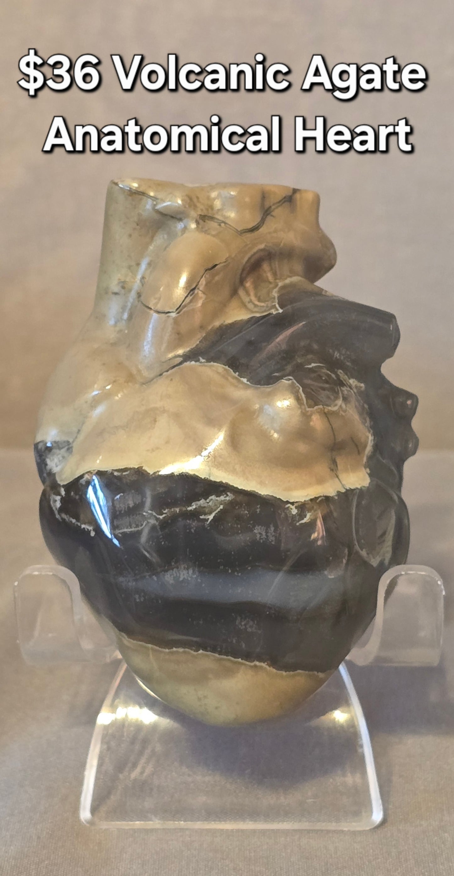 Volcanic Agate Anatomical Heart