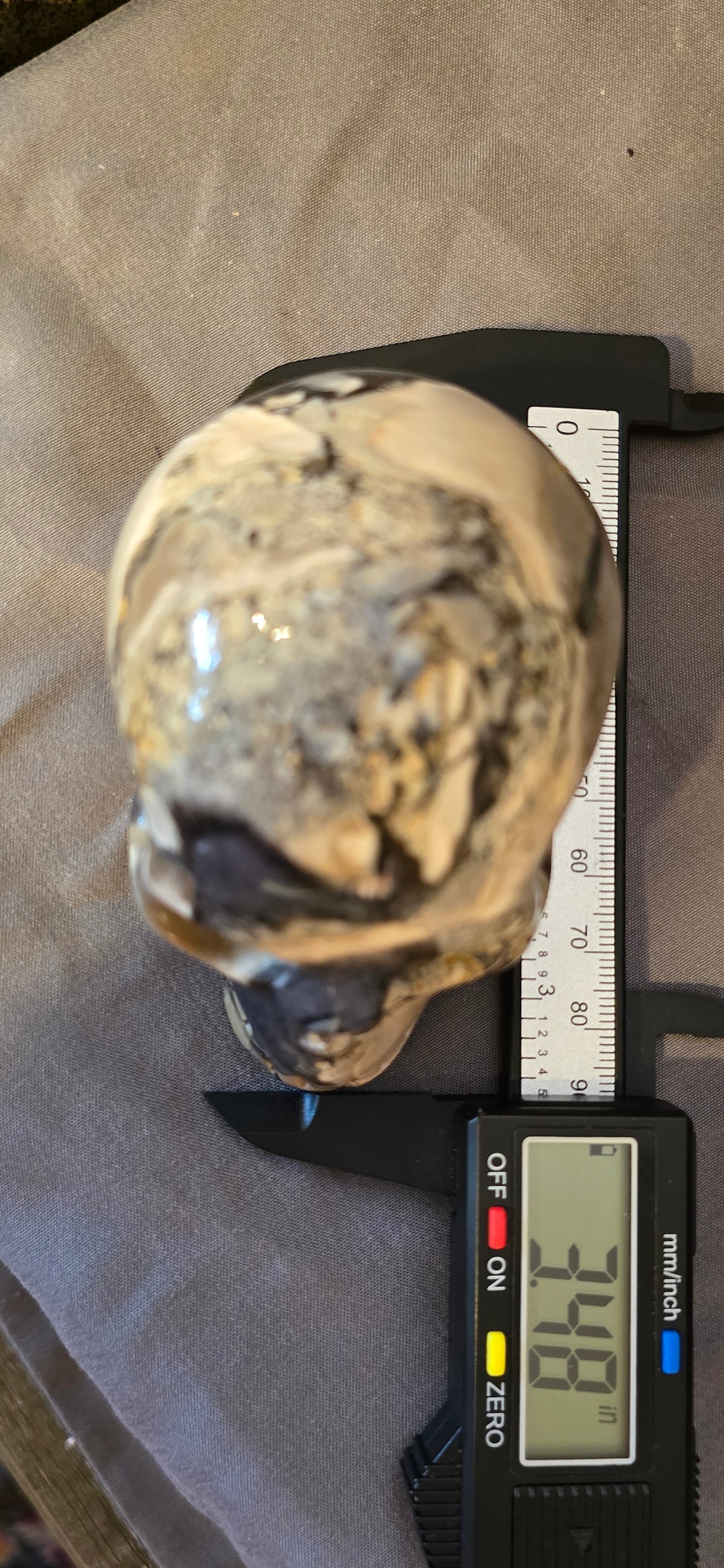 Volcanic Agate Skull