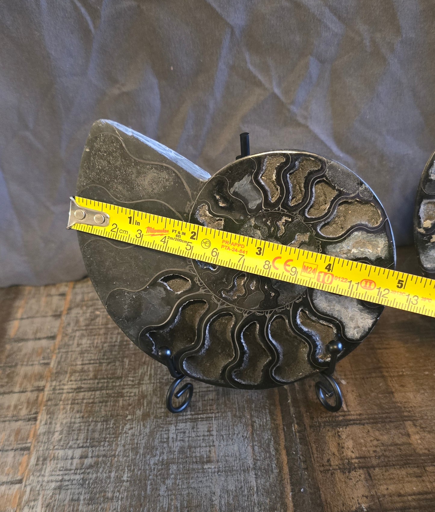 S0235 Black Ammonite Pair