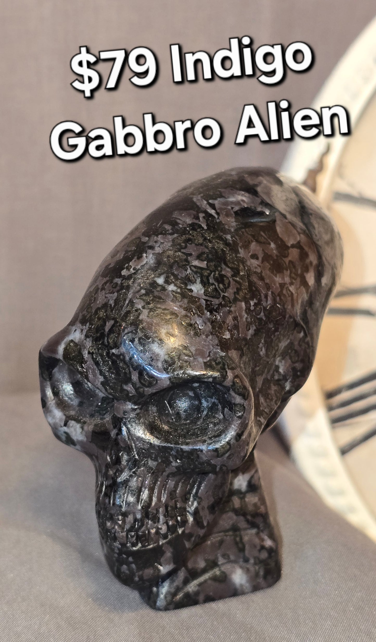 Indigo Gabbro Alien