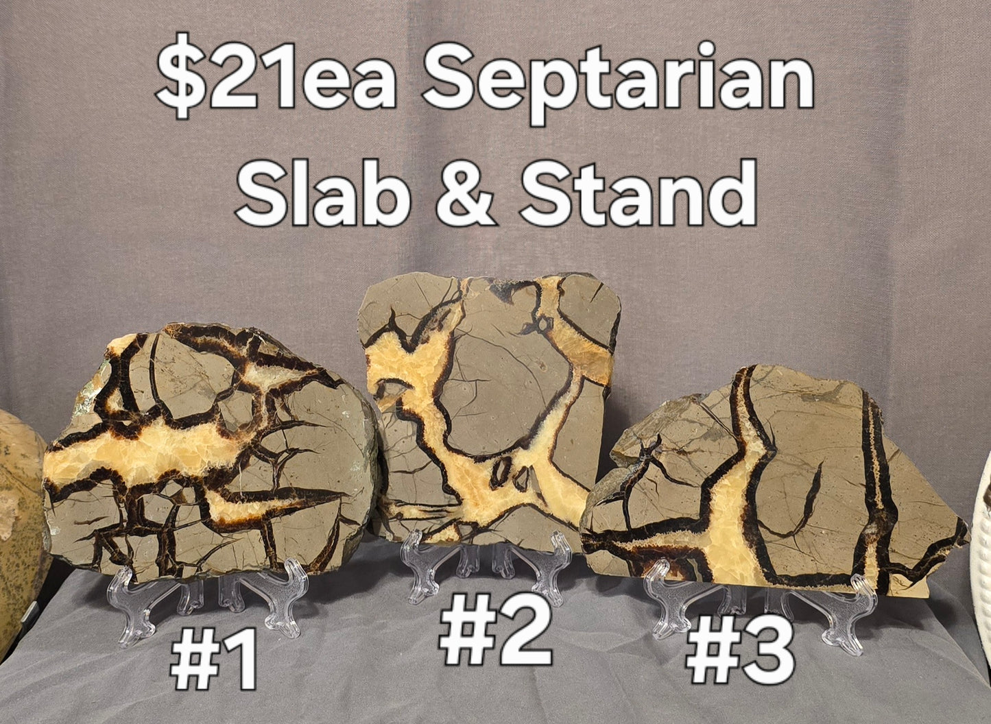 S0374 Septarian Slab