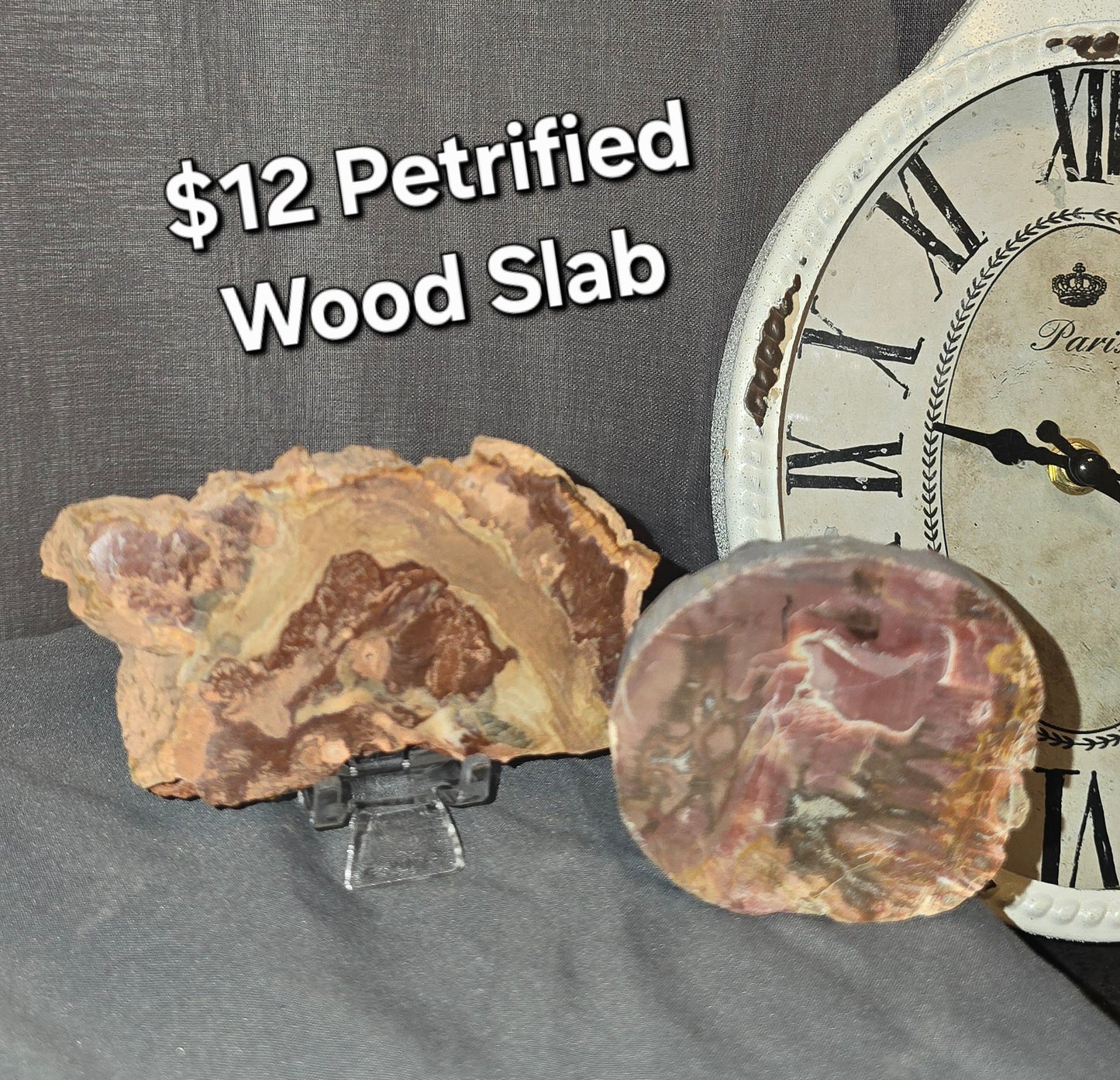 Petrified Wood Slab