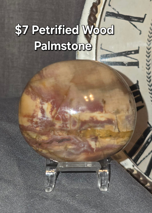 Petrified Wood Palmstone