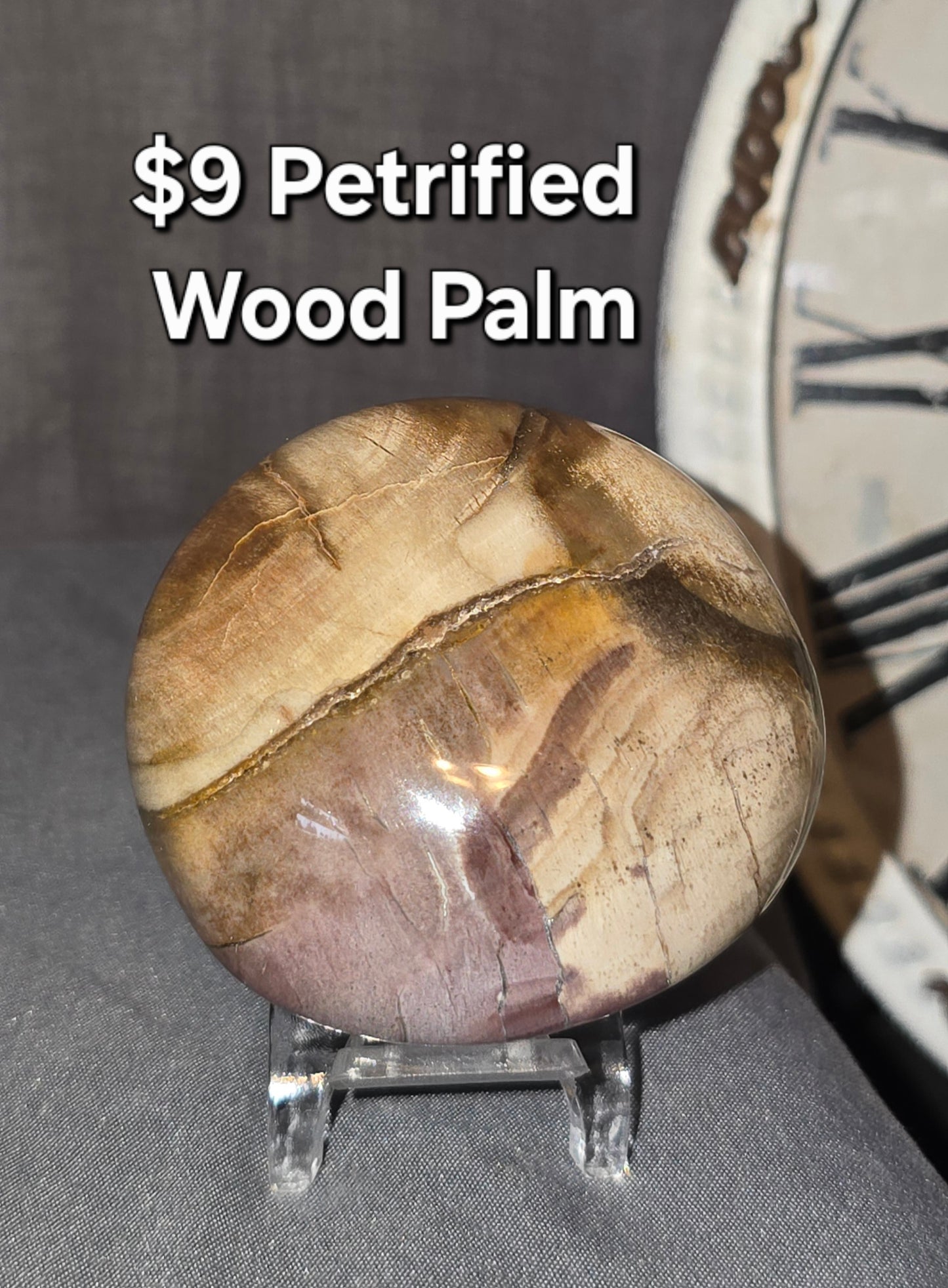 Petrified Wood Palmstone