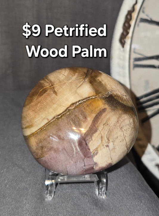 Petrified Wood Palmstone
