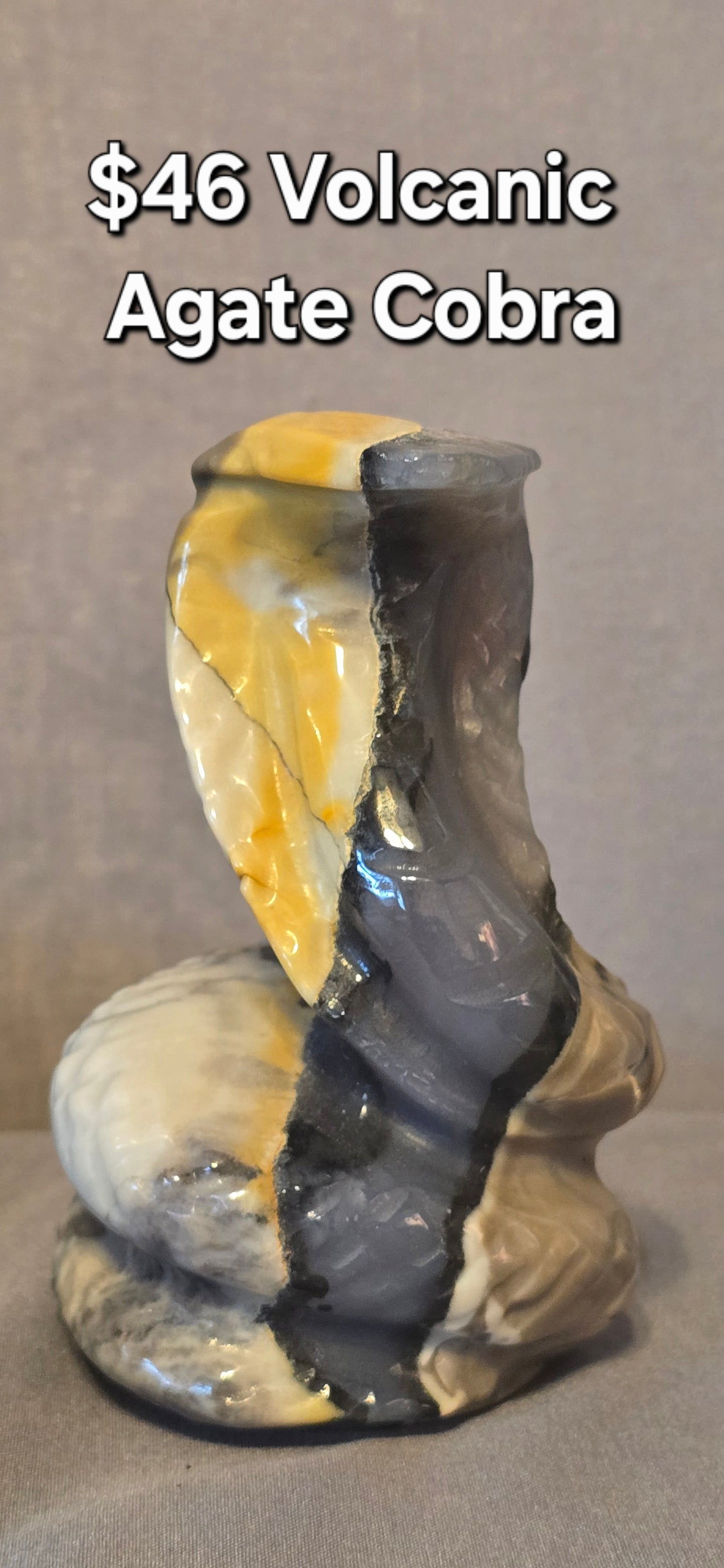 Volcanic Agate Cobra