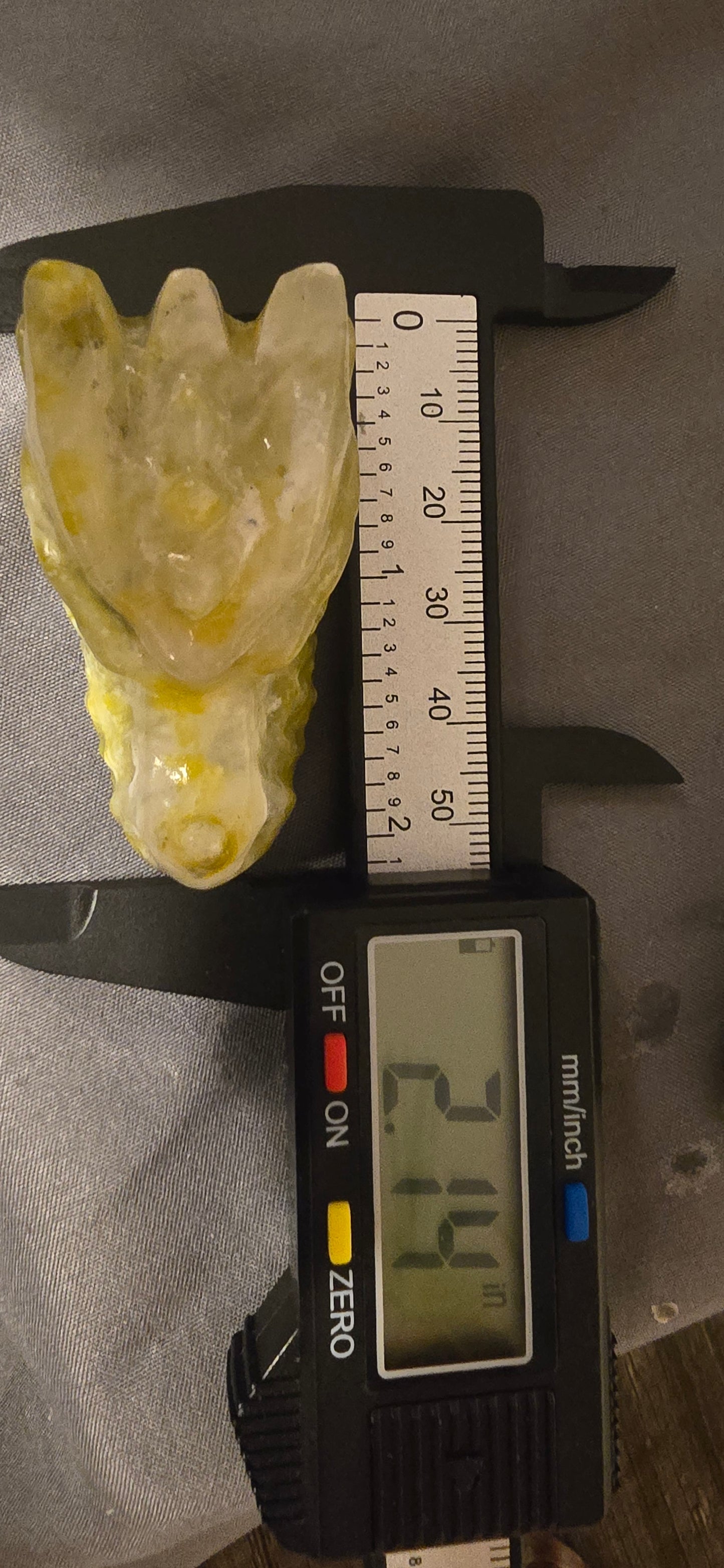 Serpentine Dragon Head