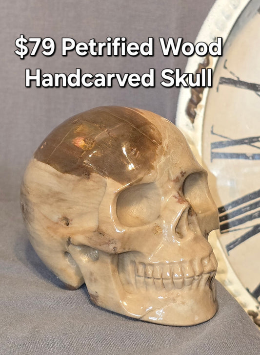 Petrified Wood Skull