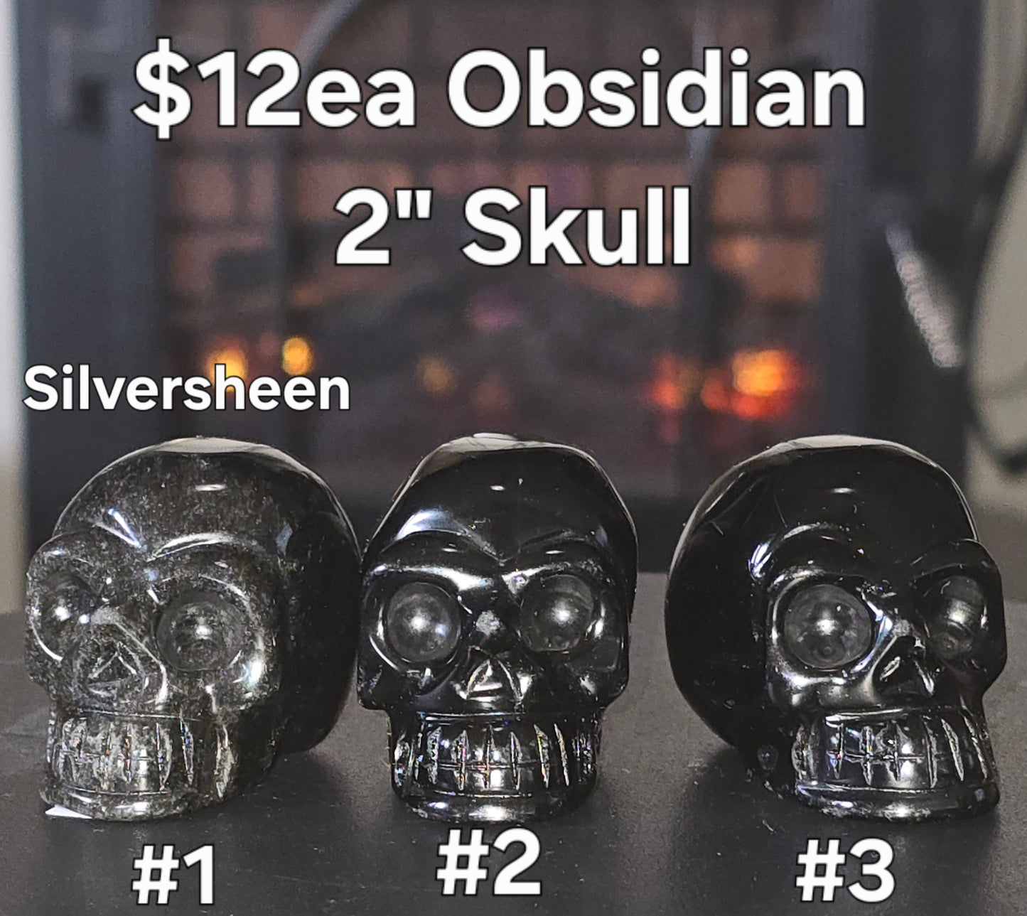 S0388 2" Asst Skull
