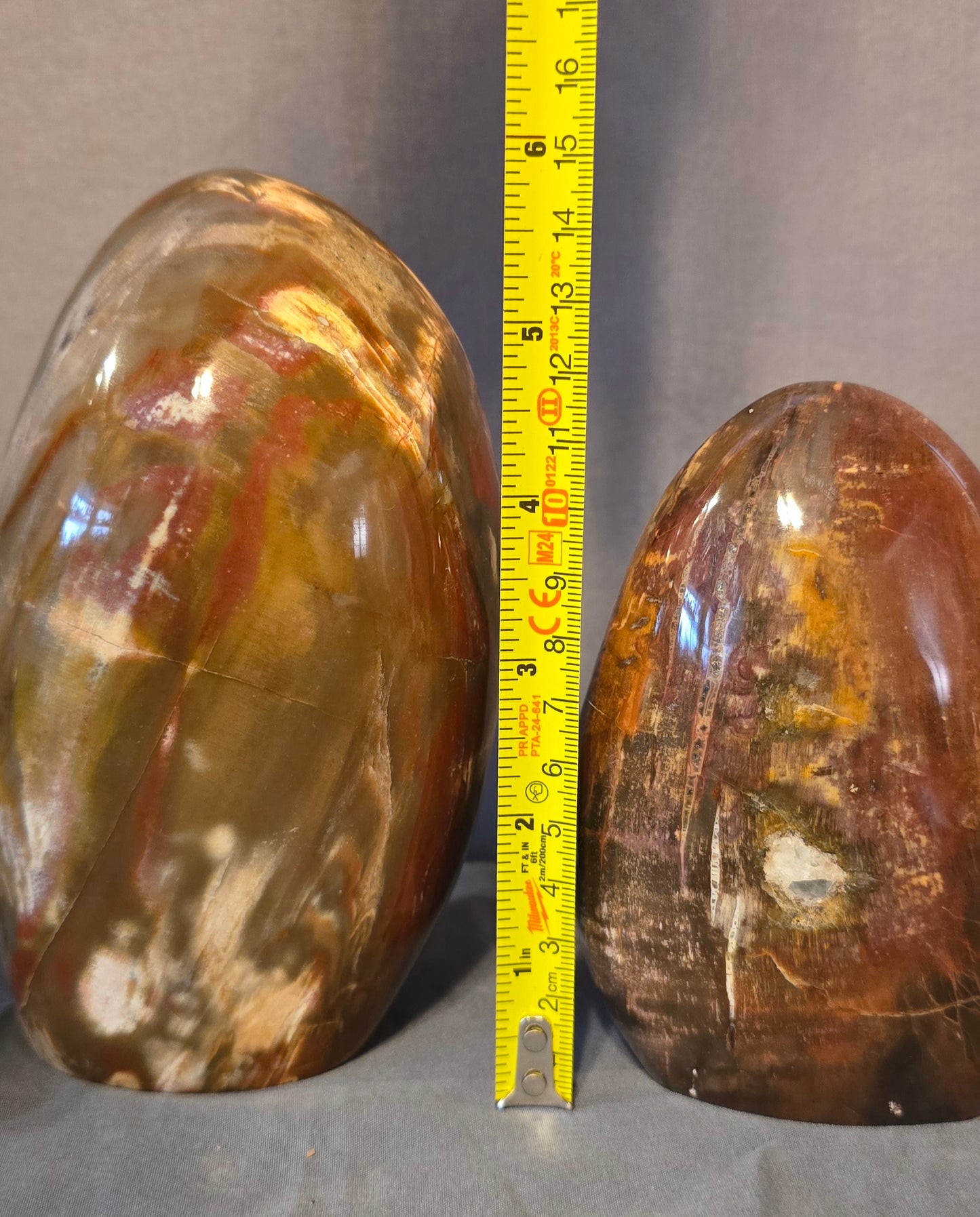 S0345 Petrified Wood Freeform