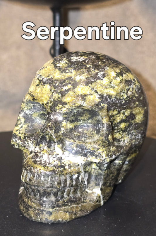 S0069 Serpentine Skull