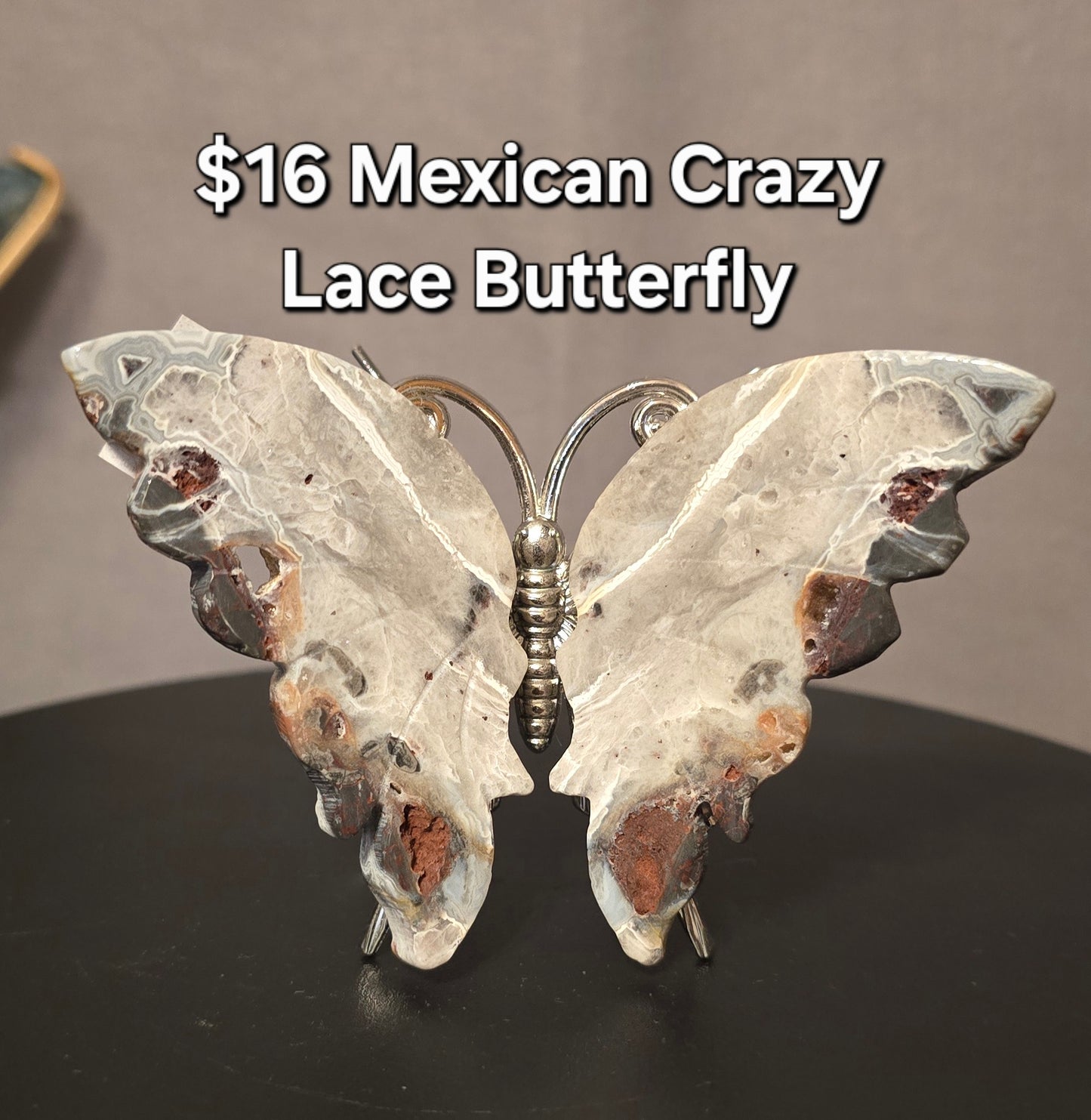 Mexican Crazy Lace Butterfly
