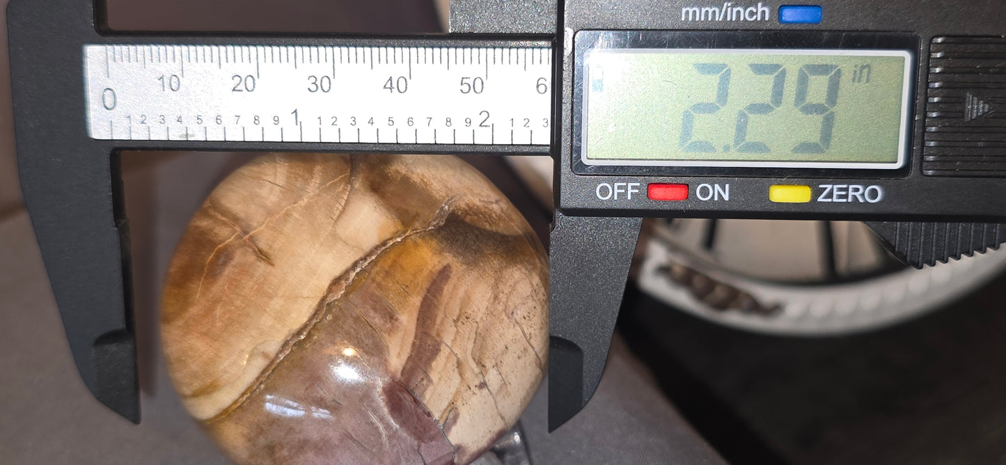 Petrified Wood Palmstone