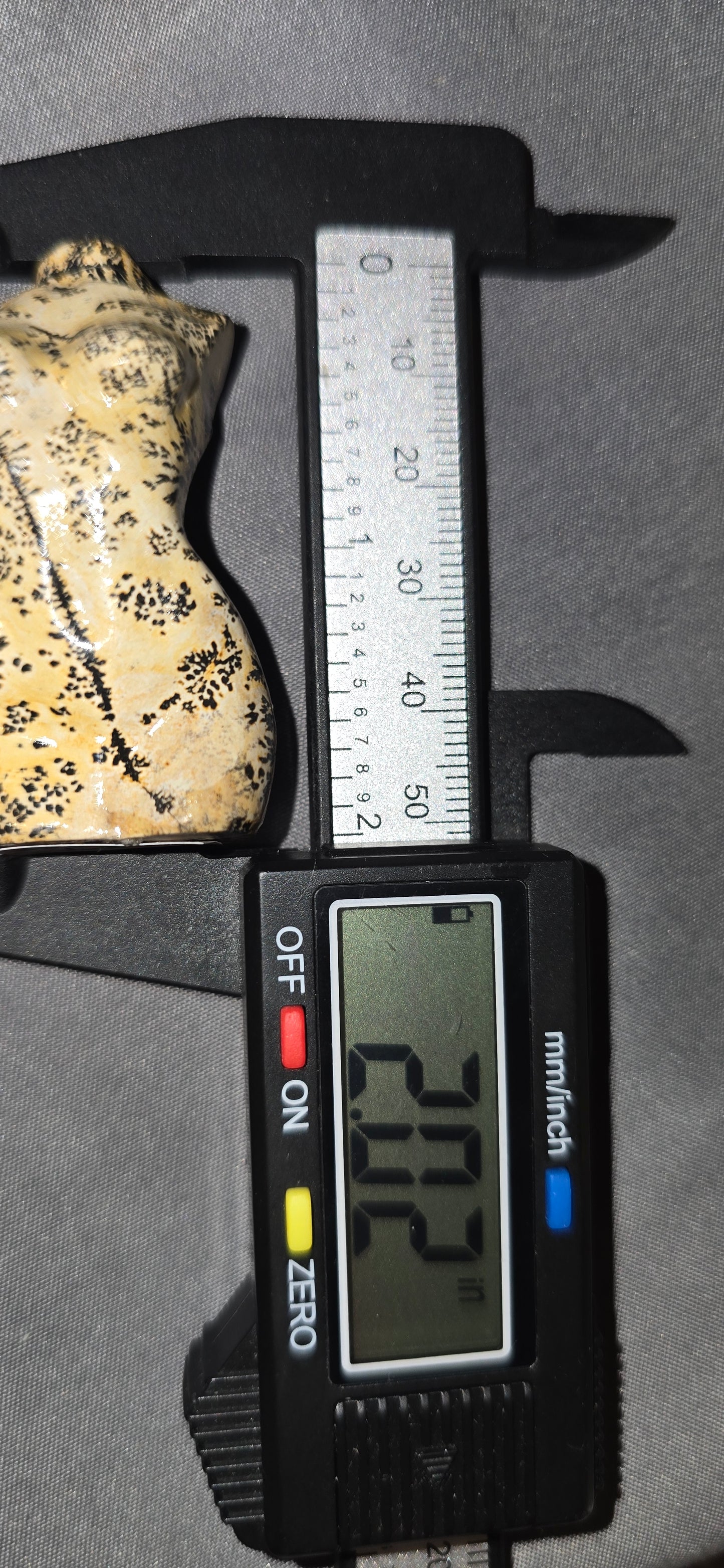 Picture Jasper Torso