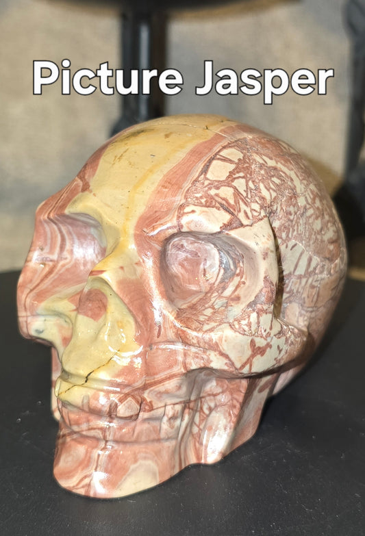 S0065 Picture Jasper Skull