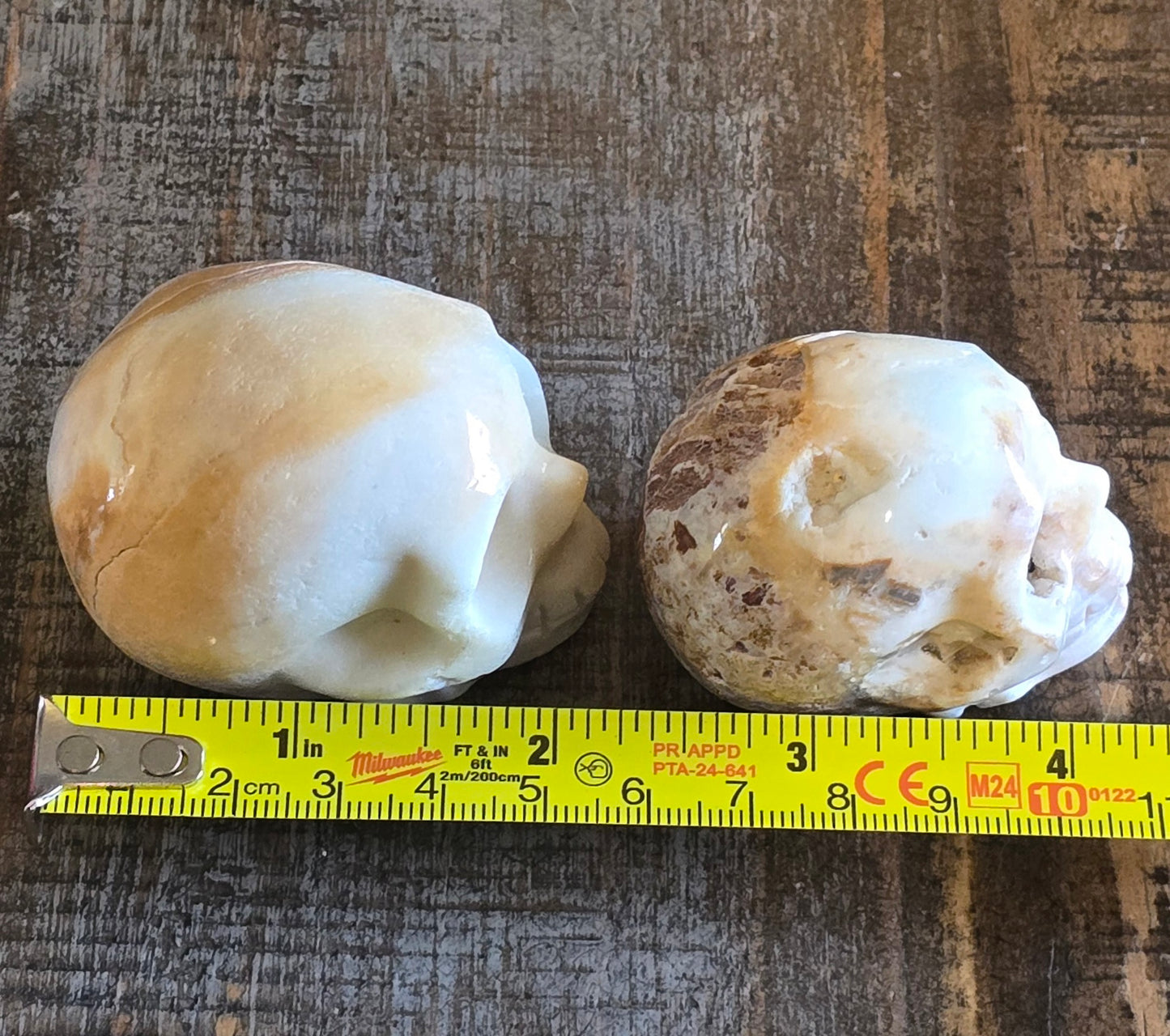 S0135 Caribbean Calcite Skull #1