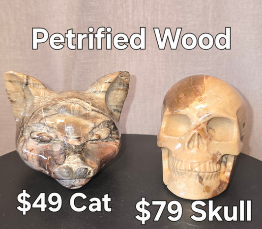 S0238 Petrified Wood Skull