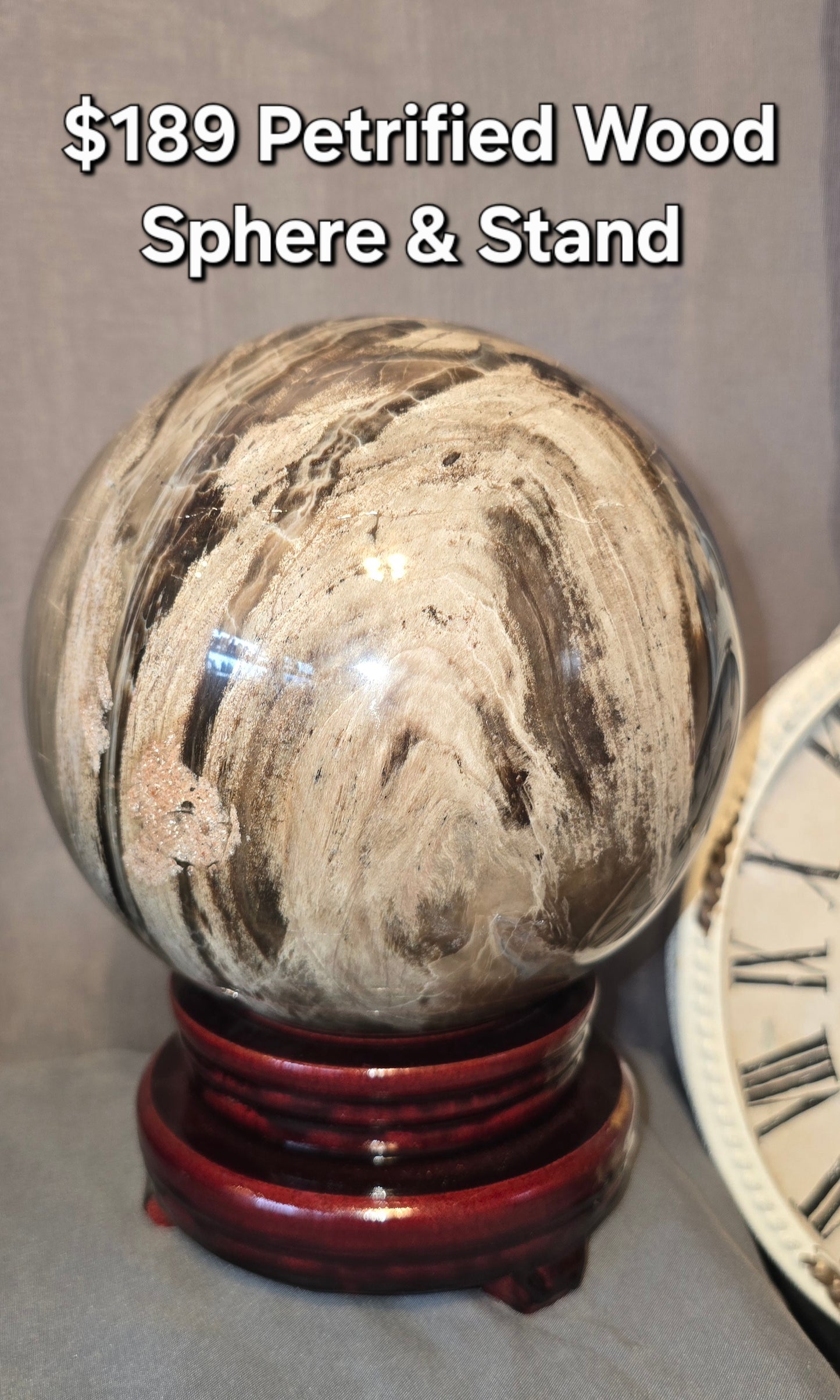 Petrified Wood Sphere & Stand