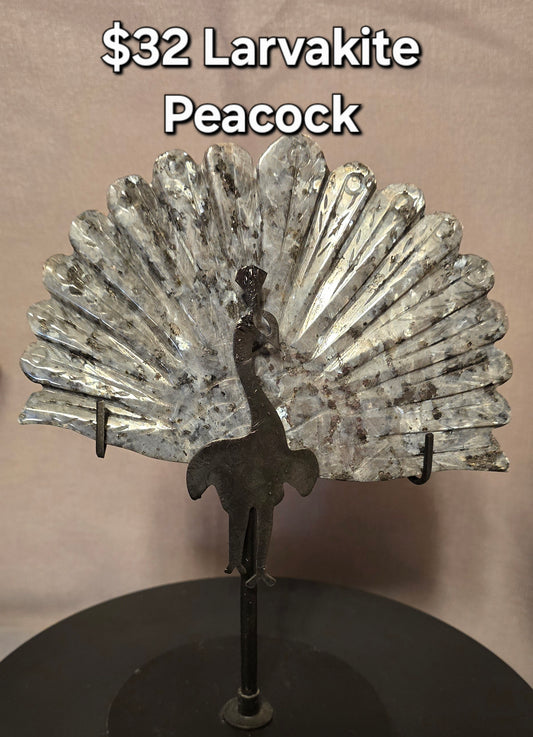 Larvakite Peacock