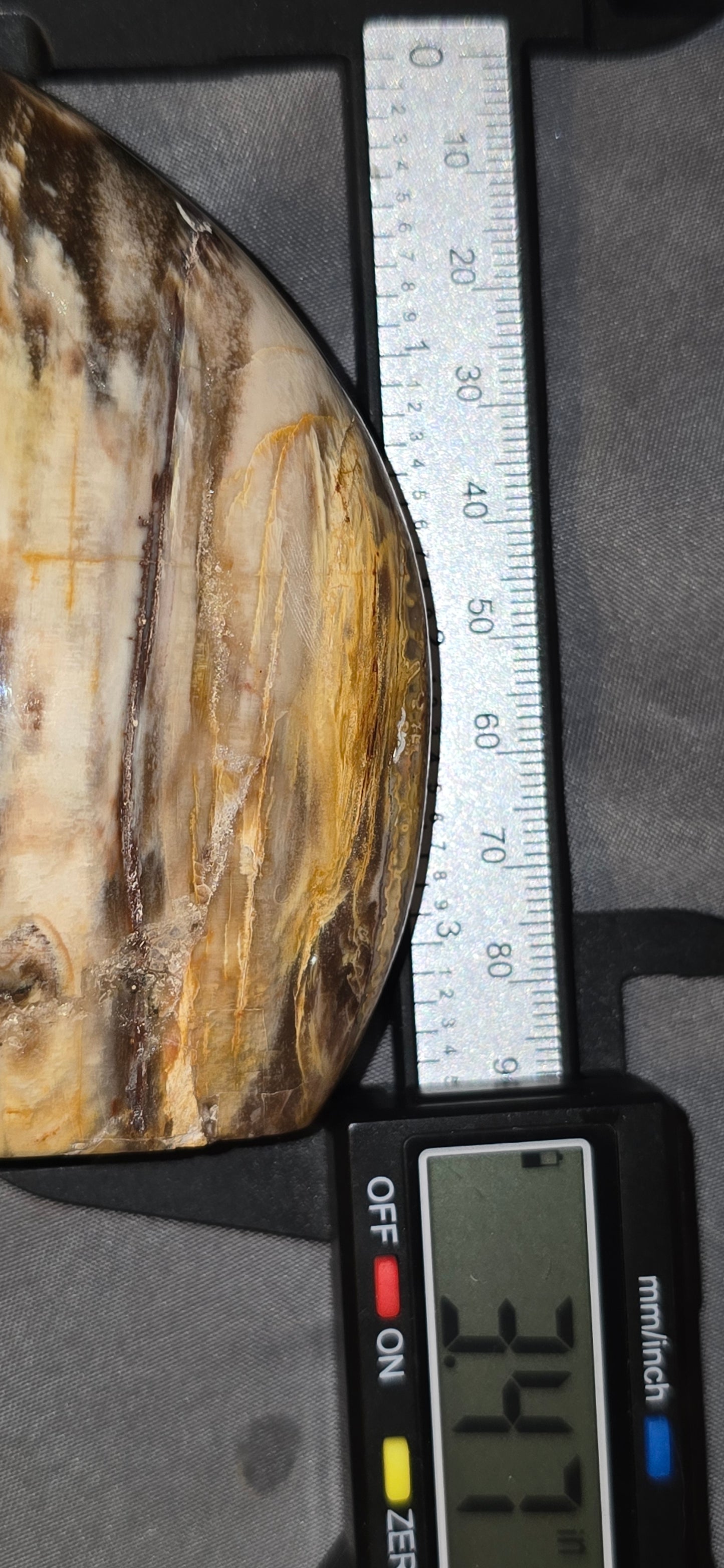 Petrified Wood Freeform