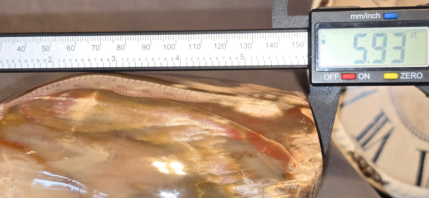 Petrified Wood Freeform