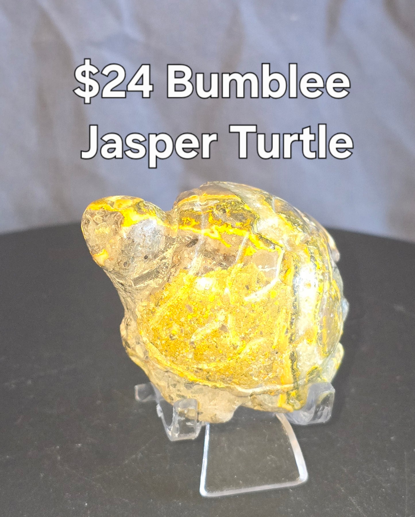 S0264 Bumblebee Jasper Turtle