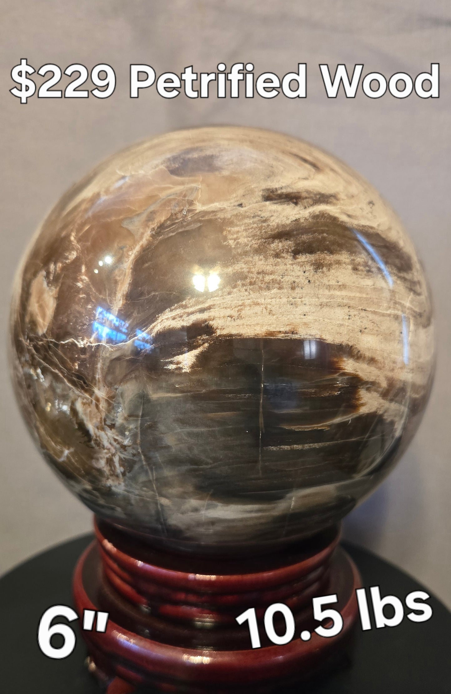 S0323 Petrified Wood Sphere