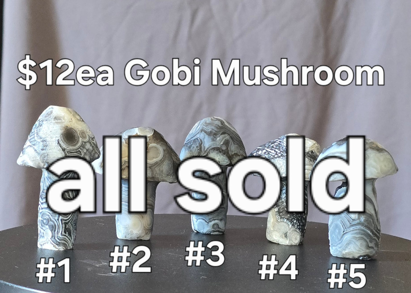 S0437 Gobi Agate Mushroom