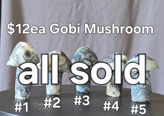 S0437 Gobi Agate Mushroom