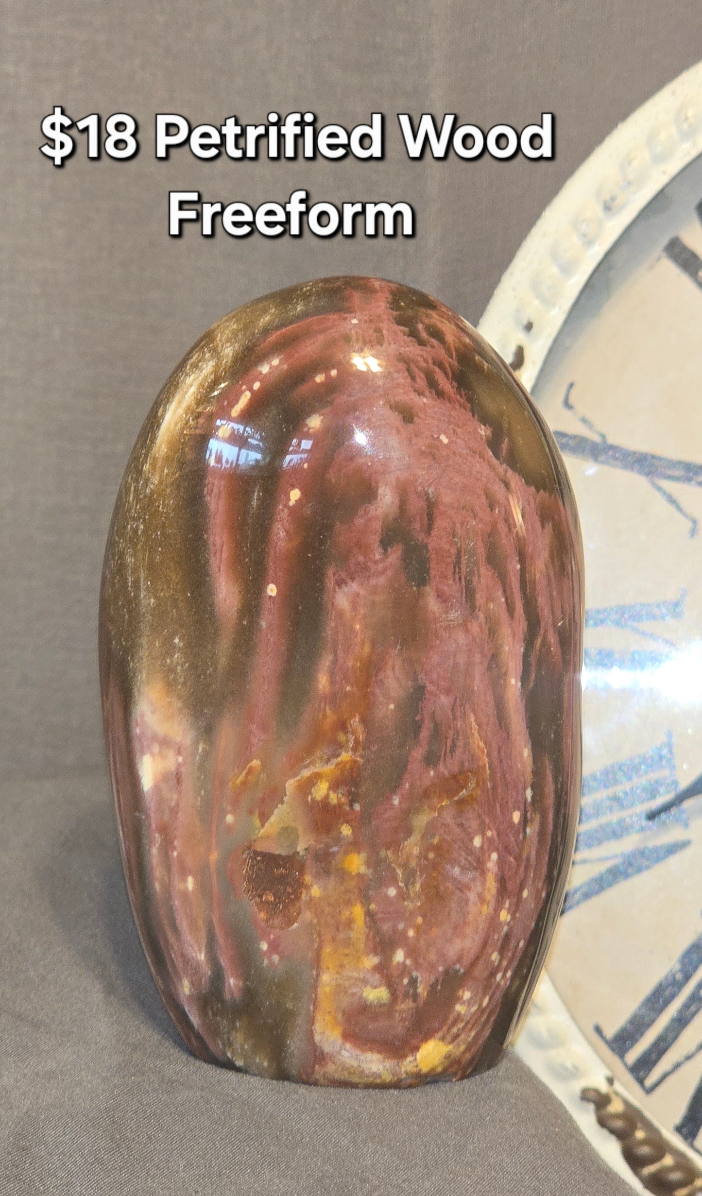 Petrified Wood Freeform