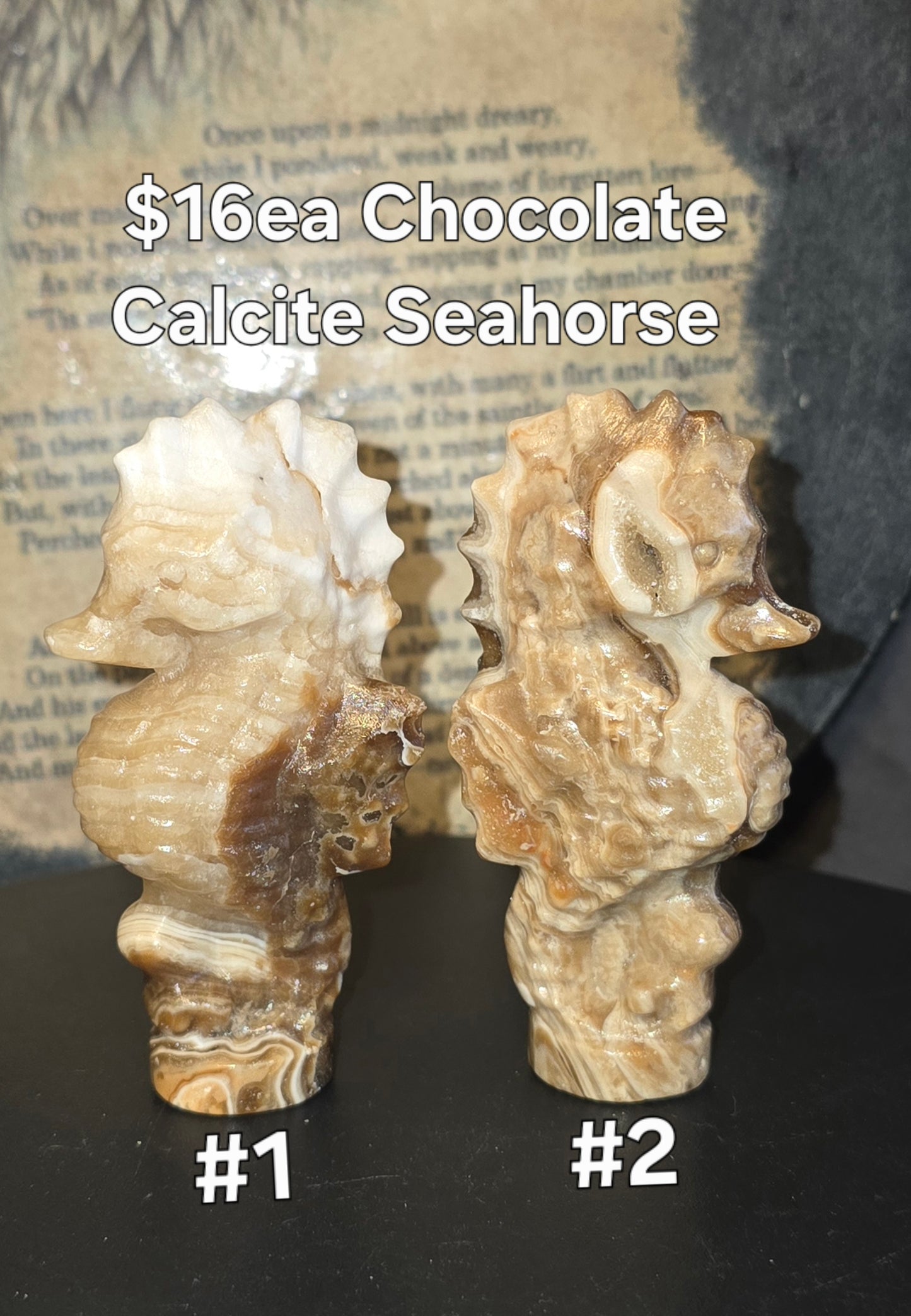 S0217 Chocolate Calcite Seahorse