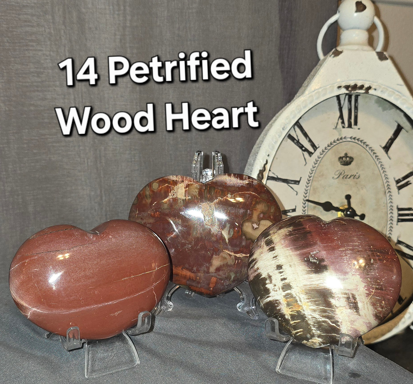 Petrified Wood Heart