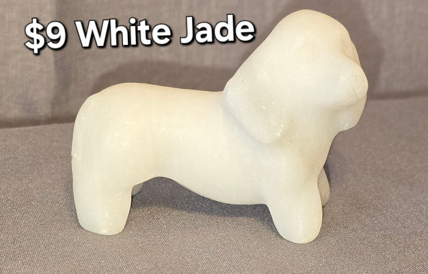 White Jade Dachshund