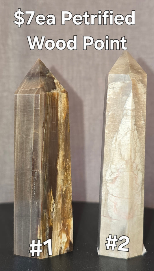S0325 Petrified Wood Point