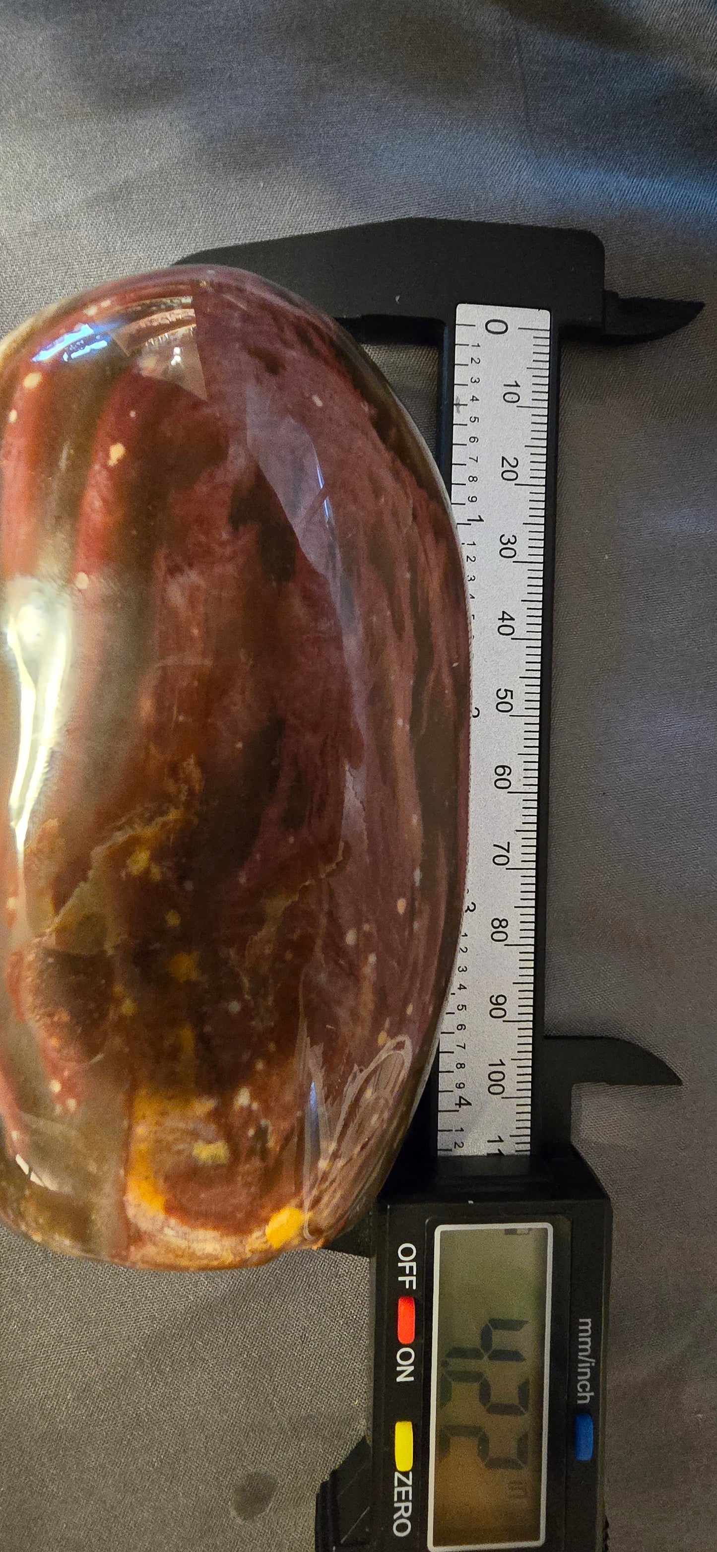 Petrified Wood Freeform