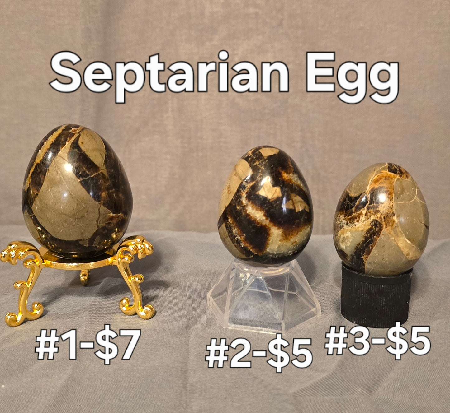 S0378 Septarian Egg