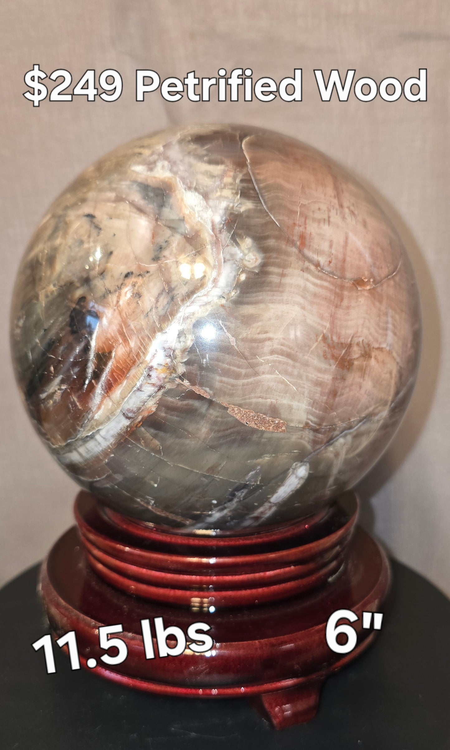 S0322 Petrified Wood Sphere