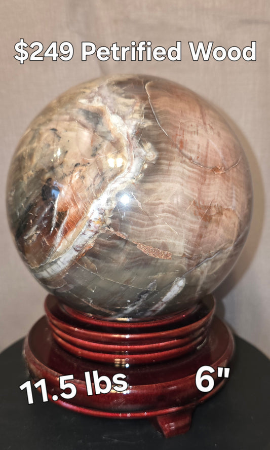 S0322 Petrified Wood Sphere