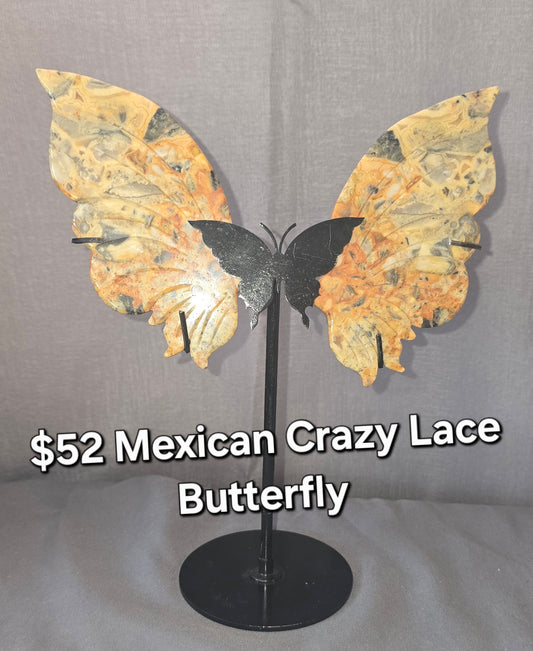 Mexican Crazy Lace Butterfly